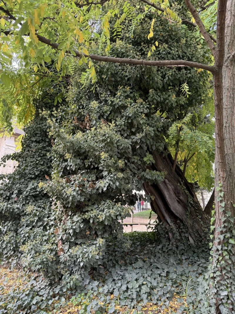 Фотография к отзыву Ольга