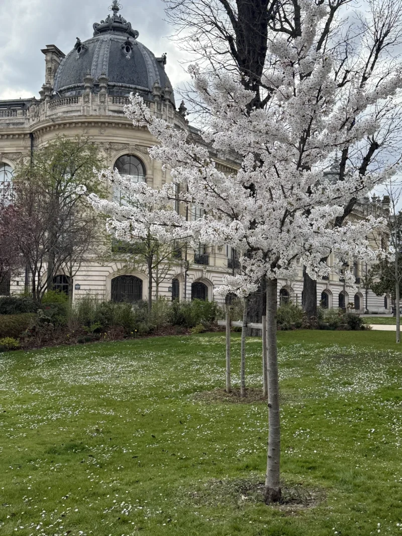 Фотография к отзыву Елена